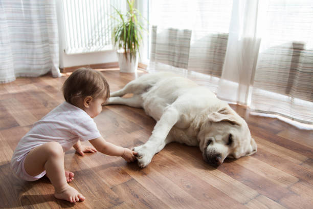 Baby with dog | McCool's Flooring