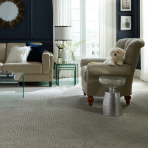 Stylish Carpet | McCool’s Flooring