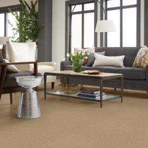 Soothing Carpet | McCool’s Flooring