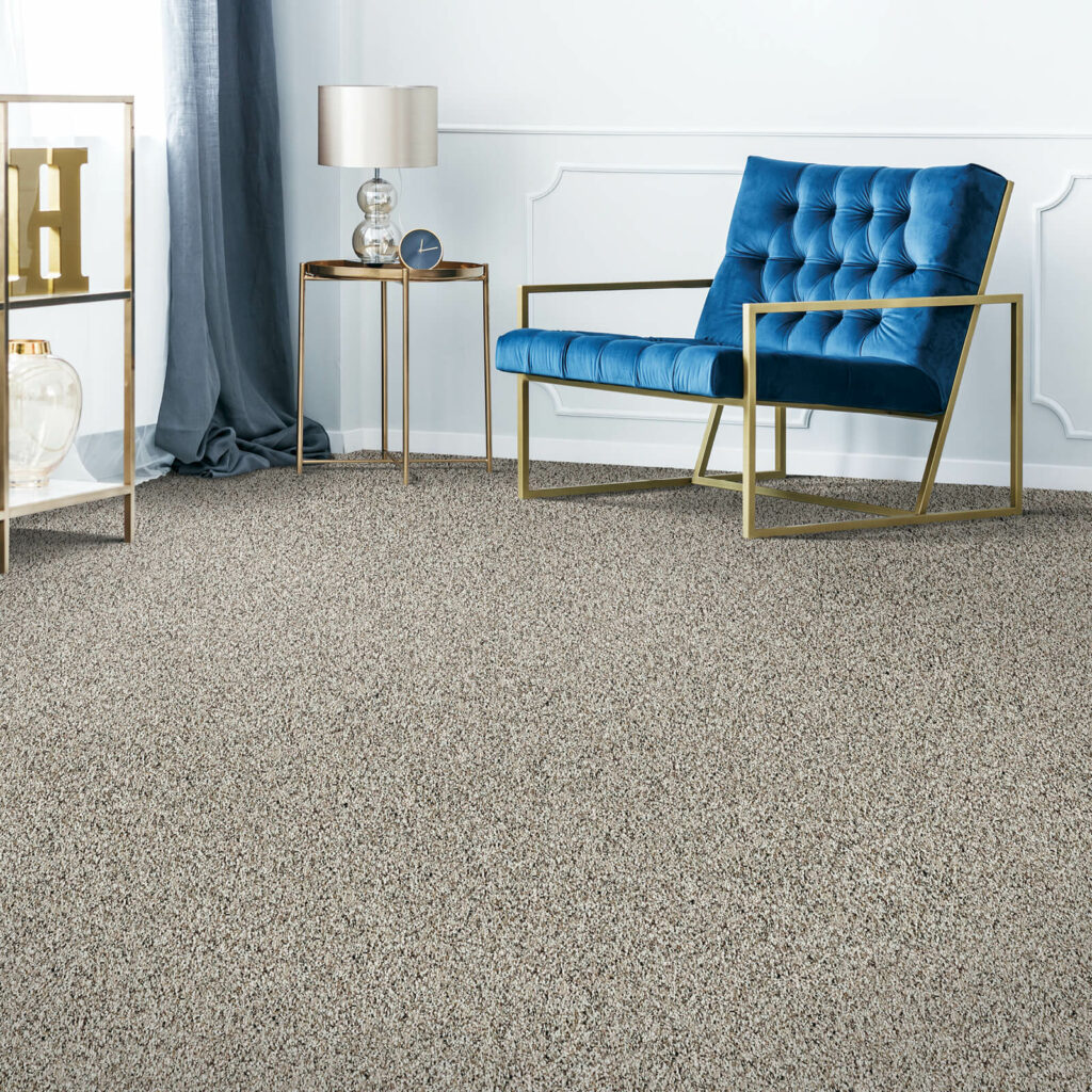 Carpet flooring with blue couch | McCools Flooring