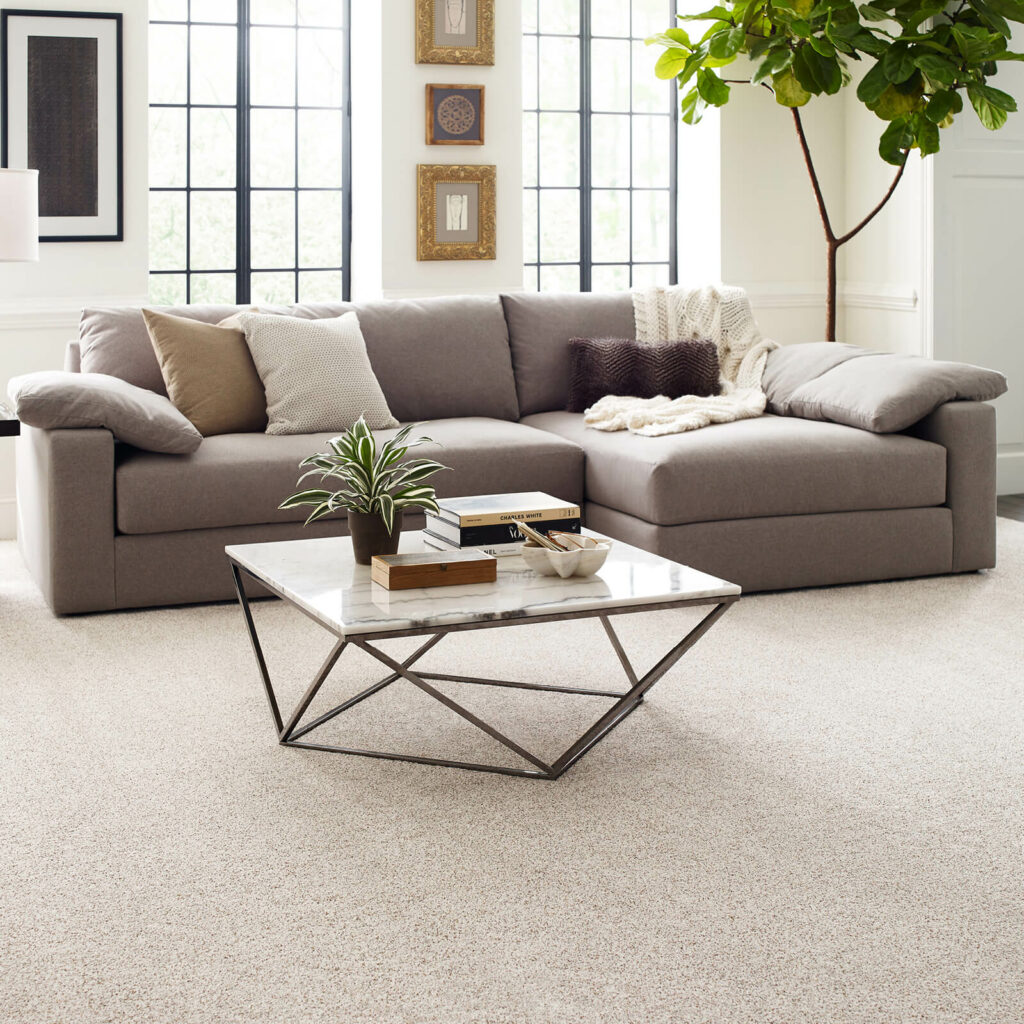 Living room carpet flooring | McCools Flooring