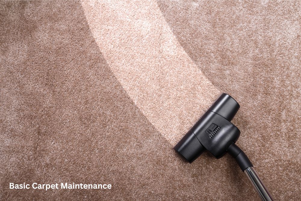 Carpet Options for Busy Households | McCool's Flooring